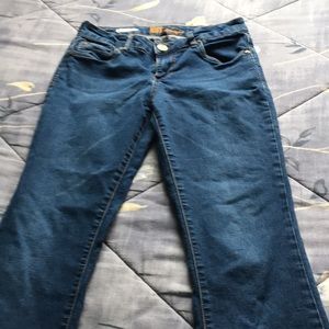 KUT Meryl Highrise Bootcut